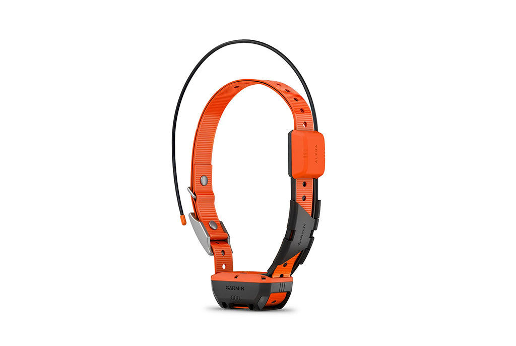 Garmin Alpha T20 K Dog Tracking Collar 2