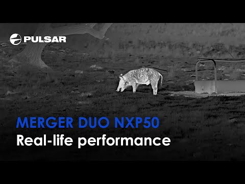 Pulsar Merger DUO NXP50 MultiSpectrum Thermal Binoculars