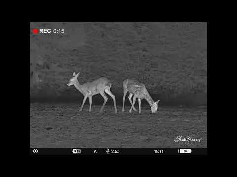 Pulsar Telos XL50 Hand Held Thermal Imager