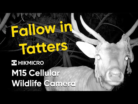 HikMicro M15 Wildlife Camera 4G Enabled