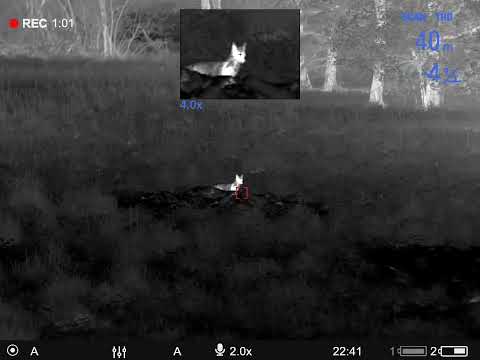 Pulsar Thermion 2 XP50 Pro Thermal Scope