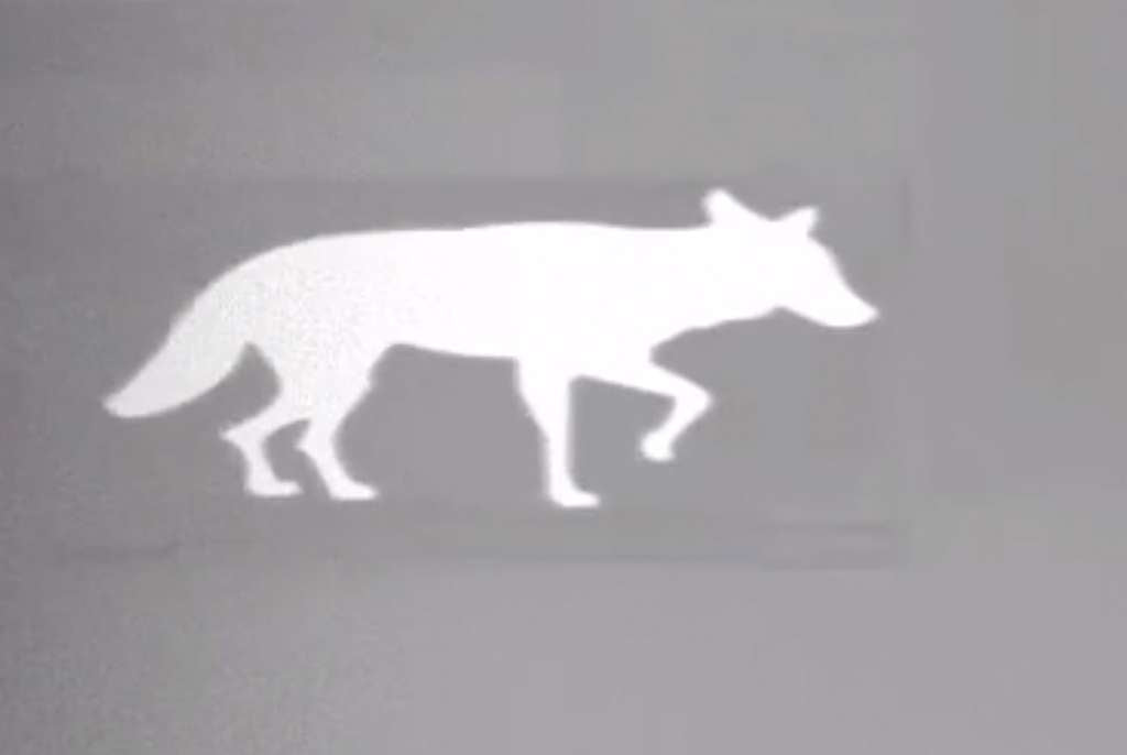 Thermbright Fox/Coyote Passive Thermal Imaging Target 2