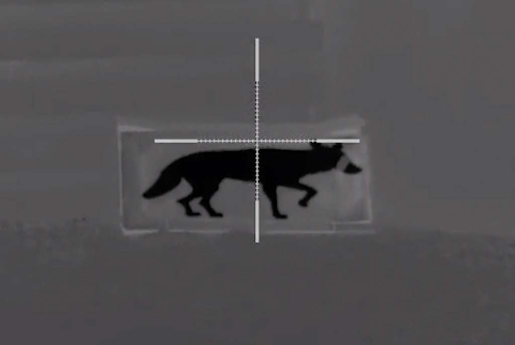 Thermbright Fox/Coyote Passive Thermal Imaging Target