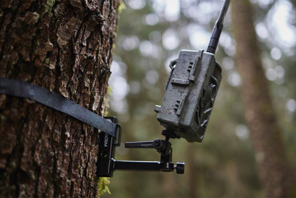 Zeiss Secacam 5 Cellular Wildlife Camera 8