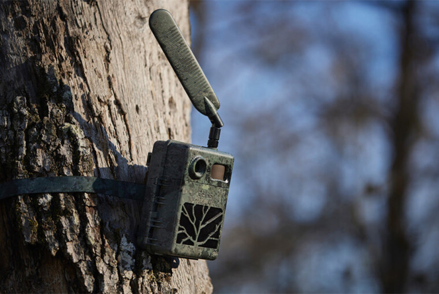 Zeiss Secacam 7 Cellular Wildlife Camera 5
