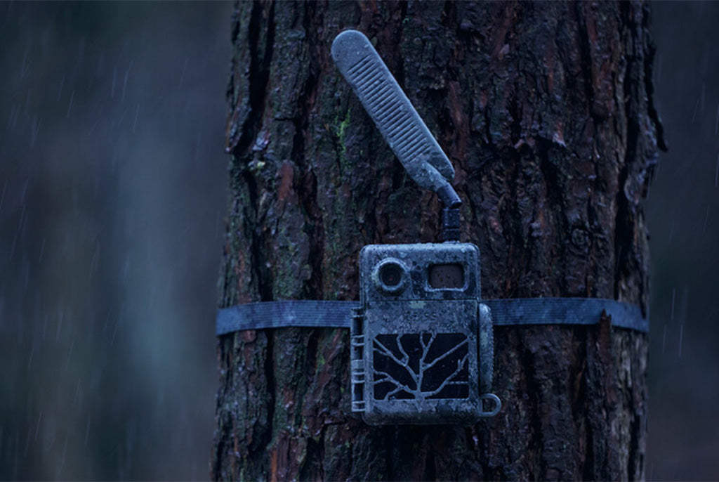 Zeiss Secacam 7 Cellular Wildlife Camera 6